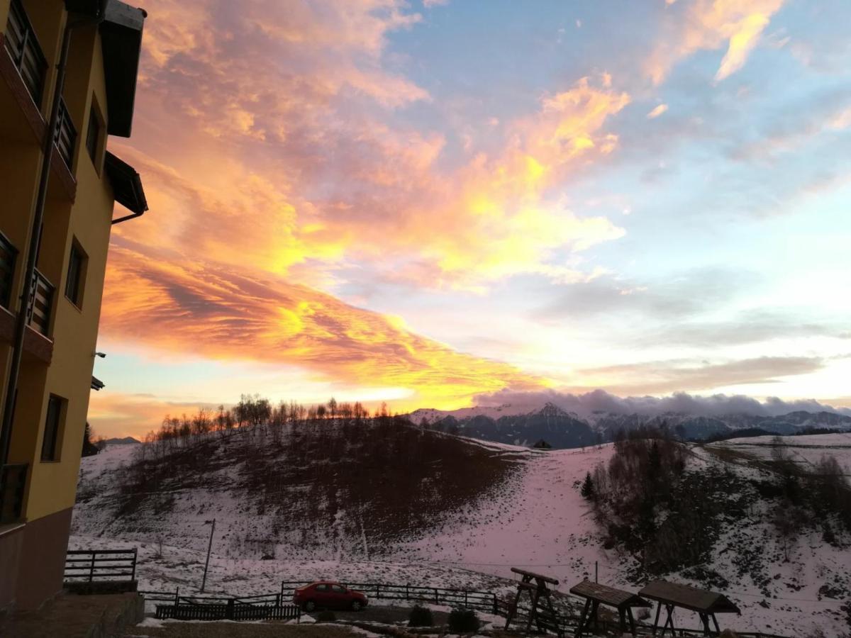 Pensiunea Crai Nou Sirnea Bagian luar foto