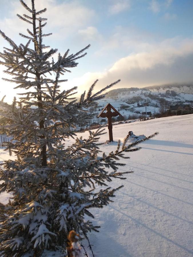 Pensiunea Crai Nou Sirnea Bagian luar foto