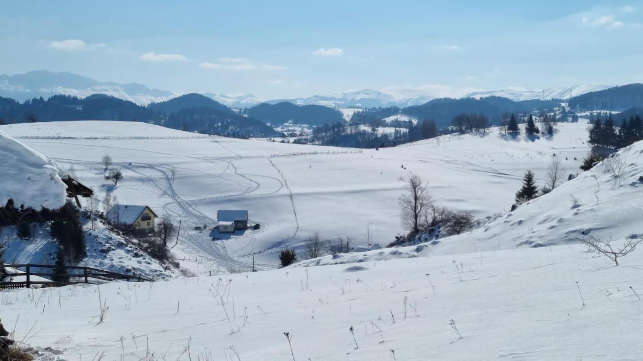 Pensiunea Crai Nou Sirnea Bagian luar foto