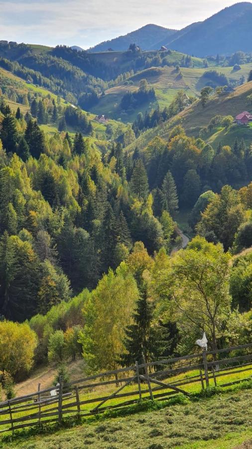 Pensiunea Crai Nou Sirnea Bagian luar foto
