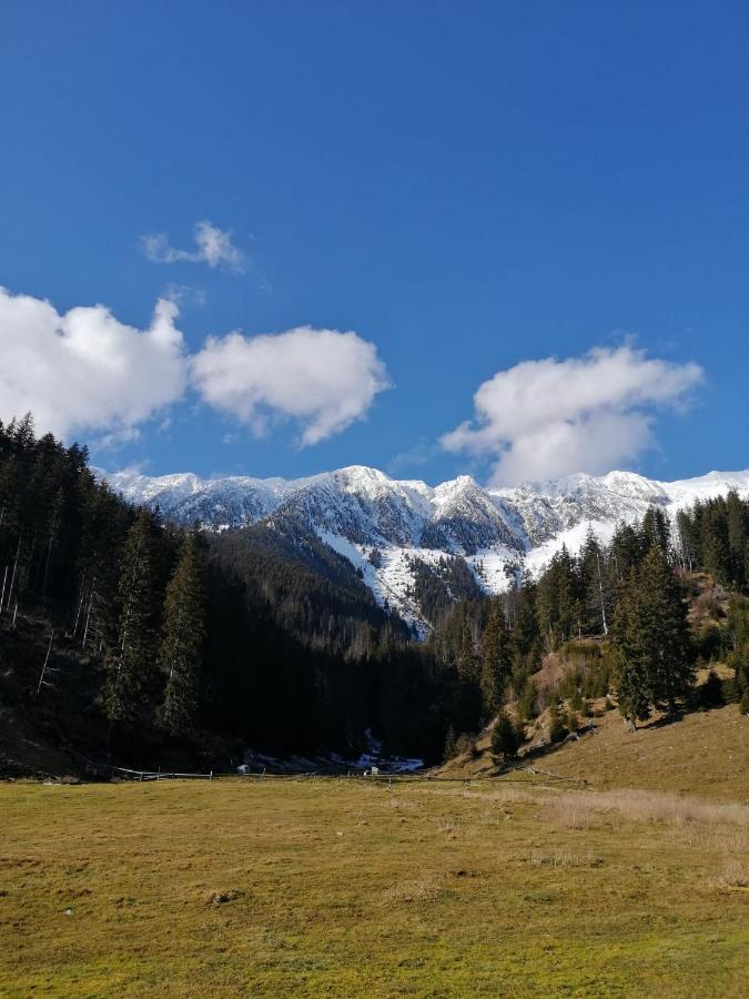 Pensiunea Crai Nou Sirnea Bagian luar foto