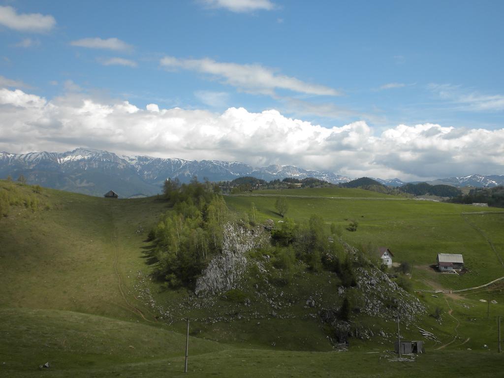Pensiunea Crai Nou Sirnea Bagian luar foto