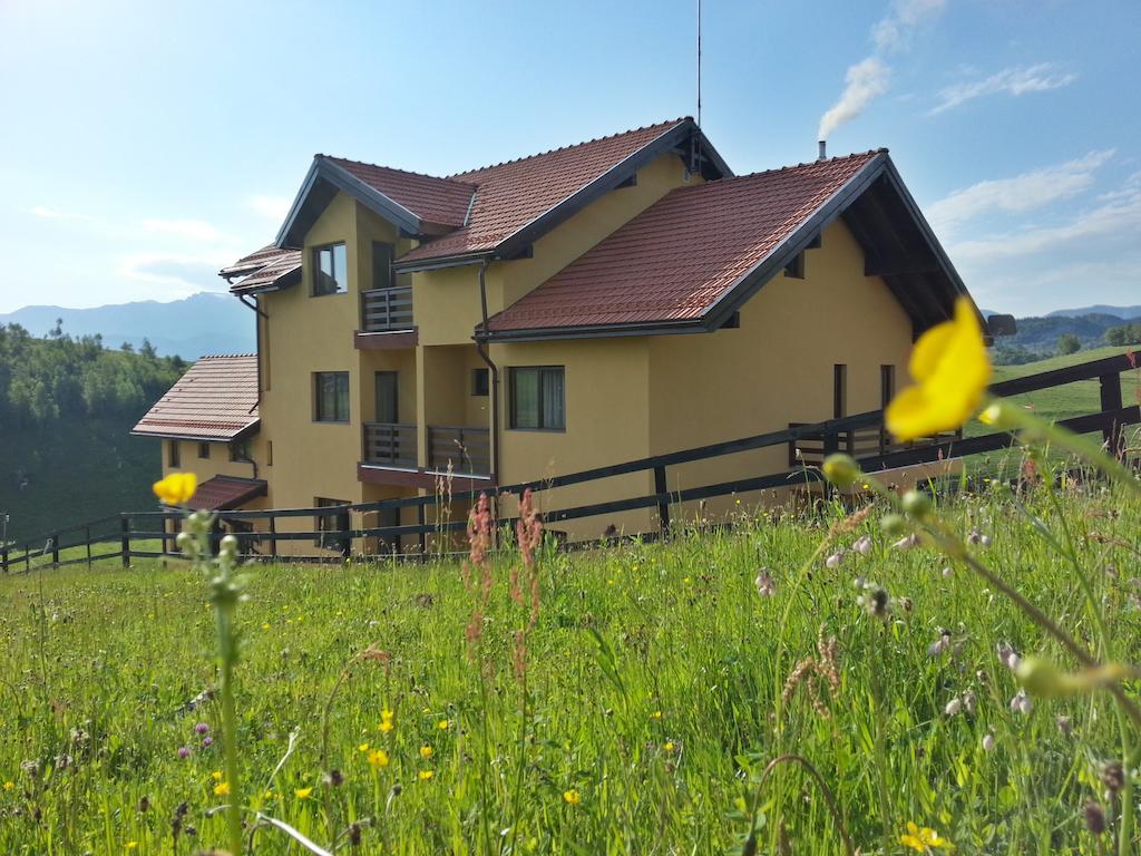 Pensiunea Crai Nou Sirnea Bagian luar foto