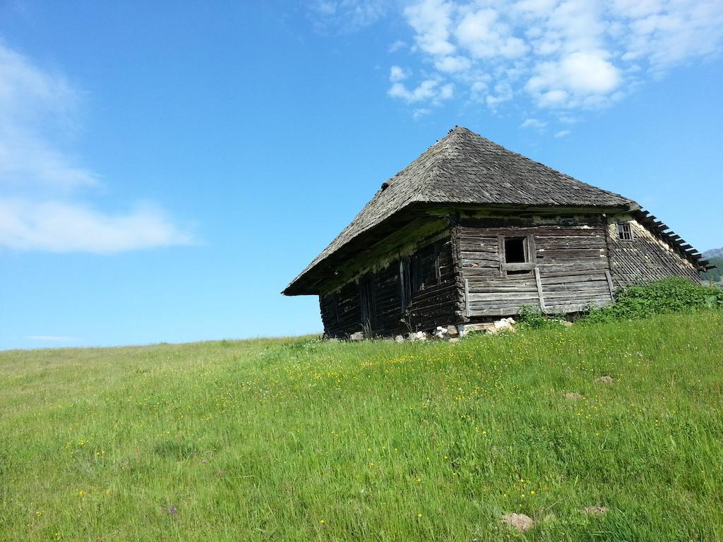Pensiunea Crai Nou Sirnea Bagian luar foto